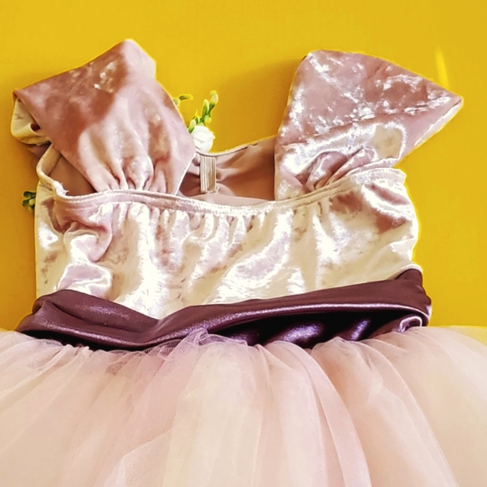 Little Girl's Velveteen Satin & Tulle Dance Costume With Accessory - Picture 5 of 11